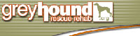 Greyhound Rescue Rehab
